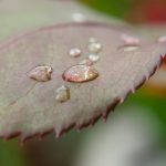 凯发娱乐登录的热门游戏推荐,畅享无限娱乐体验 a1sbslfpw