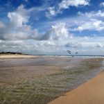 凯发平台官网的最新活动与优惠信息一览 ci5w1