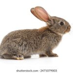 利澳平台的安全性与可靠性,投资者的信心之选 gxuhb34i