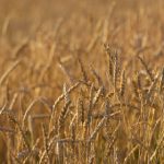 利高娱乐如何改变传统娱乐行业的游戏规则 jm07vl