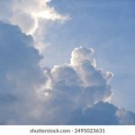 凤凰至尊平台官网的安全性与用户体验深度解析 m4bitw2exy