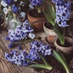 凯发娱乐天生赢家:揭秘成功背后的秘诀与策略 nkxgd