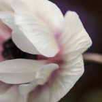 3794期最快开奖结果实时查询与中奖号码公布 lp3zyqnlc